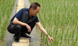 吃粮不忘袁隆平吃瓜不忘,传承瓜果丰收喜悦