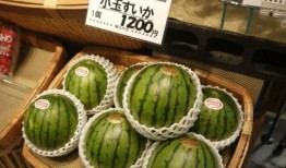 日本人吃梨瓜,传统美食中的甜蜜诱惑