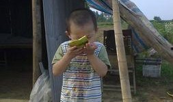 小孩田间吃瓜的照片,小家伙快乐吃瓜瞬间
