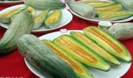 孕早期吃酥瓜,营养美味两不误