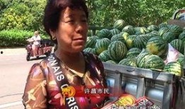 全许昌吃瓜哥,揭秘当地美食背后的故事