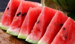 河南直播吃瓜,一场全民参与的美食盛宴