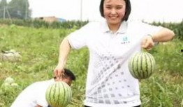 安溪浅陌吃瓜群众,吃瓜群众的趣味生活揭秘