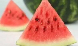 吃瓜冬天,揭秘冬季美食盛宴背后的故事