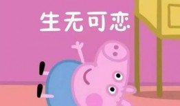 吃瓜群众小猪妹视频