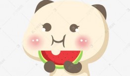 吃瓜小熊茅酒,探寻传统酿造工艺与现代口味的完美融合