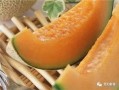 玲珑瓜哈密瓜怎么吃,玲珑瓜与哈密瓜的多样食法探索