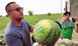 小孩红牛唱歌吃瓜,小孩红牛唱歌吃瓜的欢乐时光