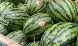 恶性许昌d吃瓜,吃瓜群众视角下的真相追踪