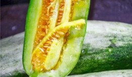 羊角瓜是什么季节吃