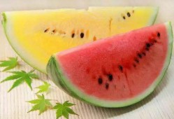 带你们吃高端瓜,带您领略高端瓜果的极致美味