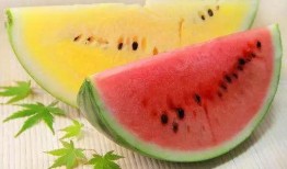 带你们吃高端瓜,带您领略高端瓜果的极致美味