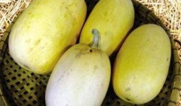 鱼翅瓜要去皮吃吗