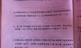 演绎吃瓜的小猫作文,演绎生活中的趣味瞬间