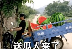 朋友带我吃瓜文案,畅游吃瓜盛宴