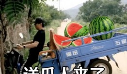 朋友带我吃瓜文案,畅游吃瓜盛宴