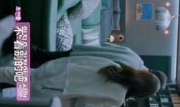 机智的吃瓜生活,洞察生活百态