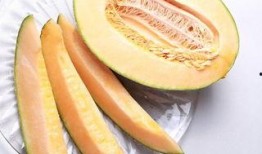 吃哈密瓜后咳,揭秘甜蜜背后的健康隐患