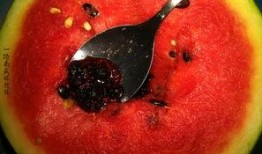 奇葩文物带你吃瓜,跟随奇葩文物探寻历史瓜田