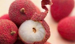 荔枝园吃瓜,一场甜蜜与清凉的邂逅