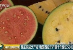 世界上有瓜吃瓜吗,探究世界各地的瓜类美食文化