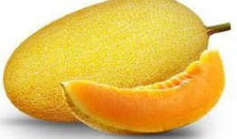 健身期吃哈密瓜,哈密瓜助力营养均衡的甜蜜选择