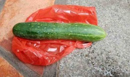 客家人吃的生吃瓜是什么瓜