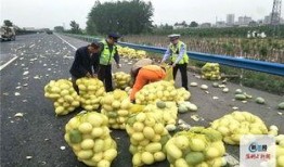 河南直播吃瓜,一场全民参与的美食盛宴