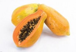 养眼吃瓜图片,视觉盛宴中的甜蜜诱惑