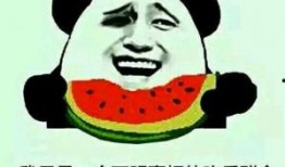 吃瓜不吃摔瓜是啥意思呀,揭秘网络流行语的深层含义