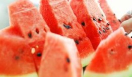 人流可以吃瓜么,跟随人流共享美味时光