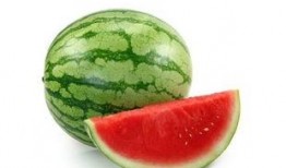 吃瓜适量,品味生活百态