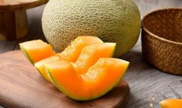 甲虫吃哈密瓜视频,揭秘哈密瓜的天然美味诱惑