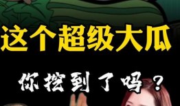 超级无敌吃瓜选手,揭秘娱乐圈幕后风云