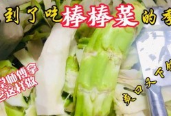 沧州老师吃瓜,一场校园风波背后的真相