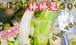 沧州老师吃瓜,一场校园风波背后的真相