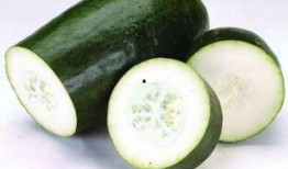 泡好茶吃瓜,茶与瓜的完美邂逅