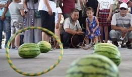 吃瓜群众分瓜图片大全,欢乐与智慧的碰撞