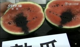 就地吃瓜的视频,揭秘网络热梗背后的趣味与思考