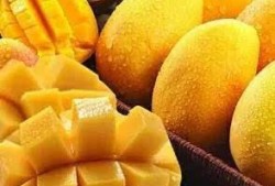 小暑吃哈密瓜,夏日消暑佳品探寻记