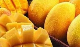 小暑吃哈密瓜,夏日消暑佳品探寻记