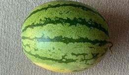 网友分享吃瓜,一场吃瓜盛宴背后的真相大揭秘！