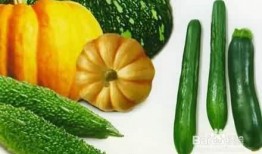 吃瓜日常,揭秘娱乐圈幕后故事