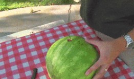 吃瓜艺术版,揭秘吃瓜艺术的魅力与趣味