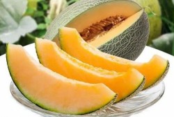 委瓜怎么吃,探索美味与营养的完美结合