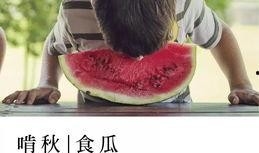 吃瓜未来城,揭秘虚拟世界的瓜田盛宴