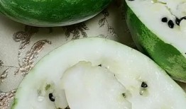 东北吊瓜怎么吃,解锁美味新体验