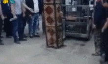 吃瓜群众美图动图,吃瓜群众美图动图大赏