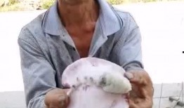 大叔吃的瓜很甜,大叔的甜蜜瓜果生活