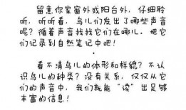 大熊吃瓜日记林清平,林清平的趣味人生